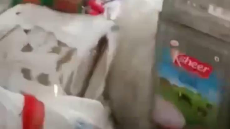 WhatsApp Image 2026-01-23 at 6.18.53 PM-yjyj3irql8.jpeg